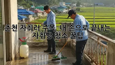 춘천 자취러 주목! ✨ 내 손으로 끝내는 자취방 청소 꿀팁 🏡
