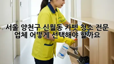 서울 양천구 신월동 카펫 청소 전문 업체, 어떻게 선택해야 할까요?