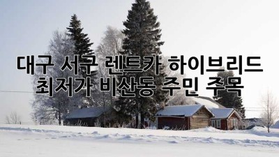 대구 서구 렌트카🚗 하이브리드 최저가? 비산동 주민 주목! 👀