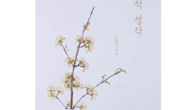 득템찬스! 내 손으로 직접 써본 솔직한 장창 후기 & 구매 팁 완전 정복!
